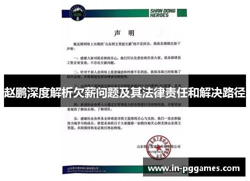 赵鹏深度解析欠薪问题及其法律责任和解决路径